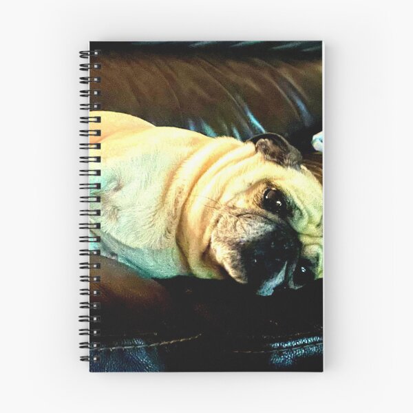 Item preview, Sofa Pug designed and sold by ontological.
