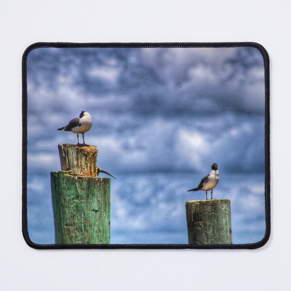 Item preview, Gulls designed and sold by Larrysphotos.