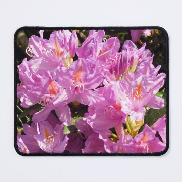 Item preview, Pink Azalea designed and sold by pinkal.