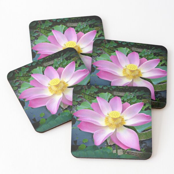 Item preview, Bali hi! Buddhist Lotus. designed and sold by SublimeStuffArt.