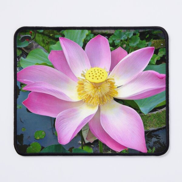 Item preview, Bali hi! Buddhist Lotus. designed and sold by SublimeStuffArt.