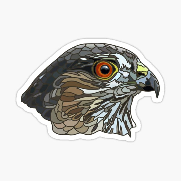 Item preview, Sharp-shinned Hawk designed and sold by GyrKiteTours.