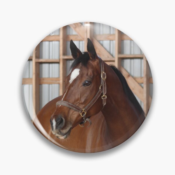 Item preview, Thoroughbred Pose designed and sold by Shelbycentric.