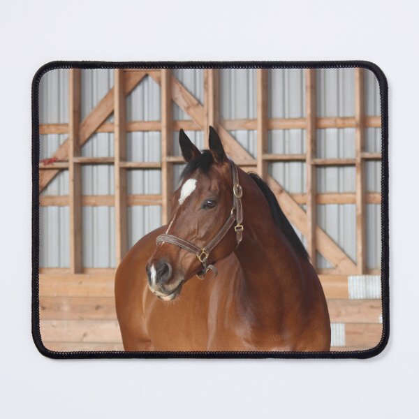 Item preview, Thoroughbred Pose designed and sold by Shelbycentric.