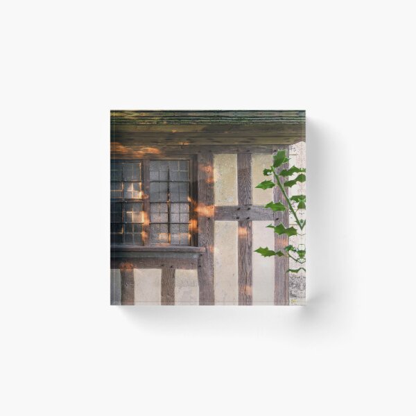 Item preview, Dappled Light designed and sold by JEZ22.