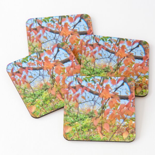 Item preview, Fuzzied Fall designed and sold by kinkatstyle.