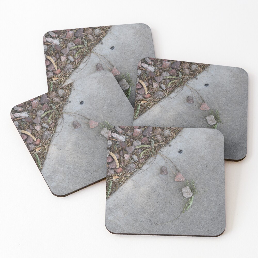 Item preview, Coasters (Set of 4) designed and sold by MangoSeeds.