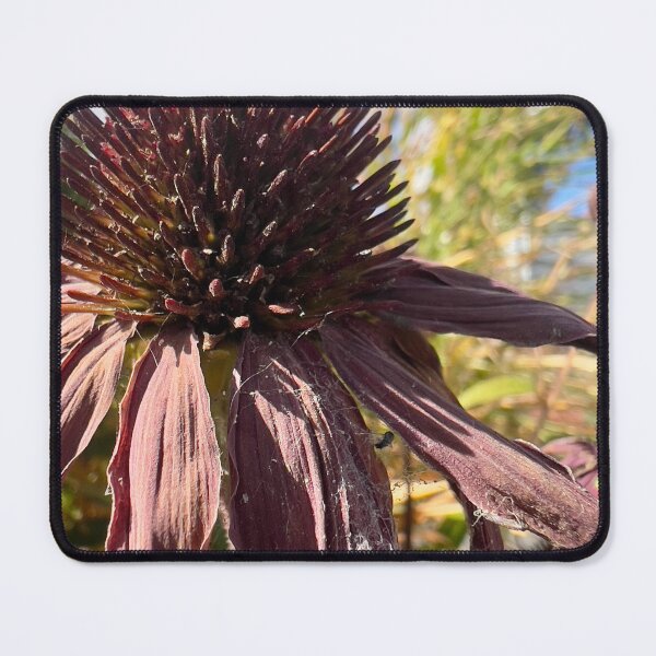 Item preview, Purple Coneflower designed and sold by Betsy Phillips.