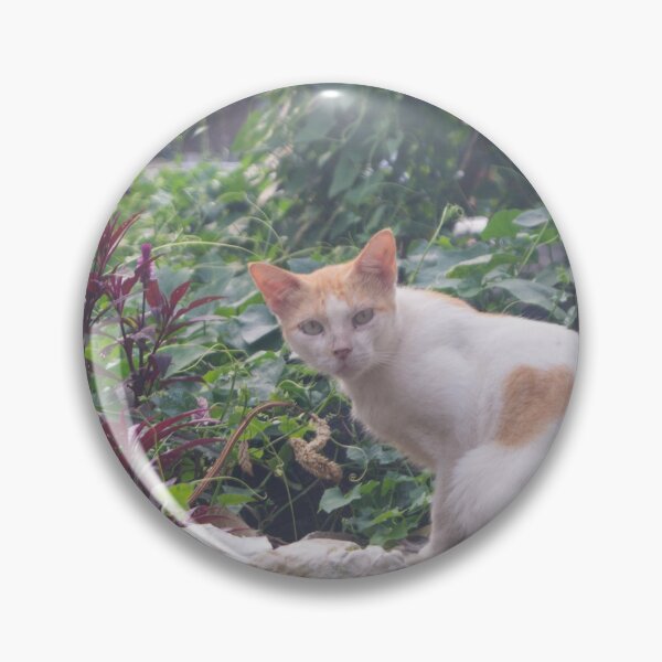 Item preview, Cat Sitting on a Rubble of Stones  designed and sold by ROSE ANN BANILAR.