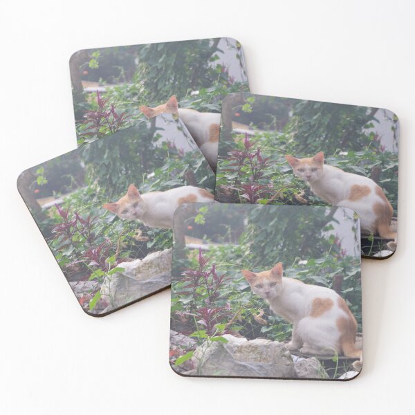 Item preview, Cat Sitting on a Rubble of Stones  designed and sold by ROSE ANN BANILAR.