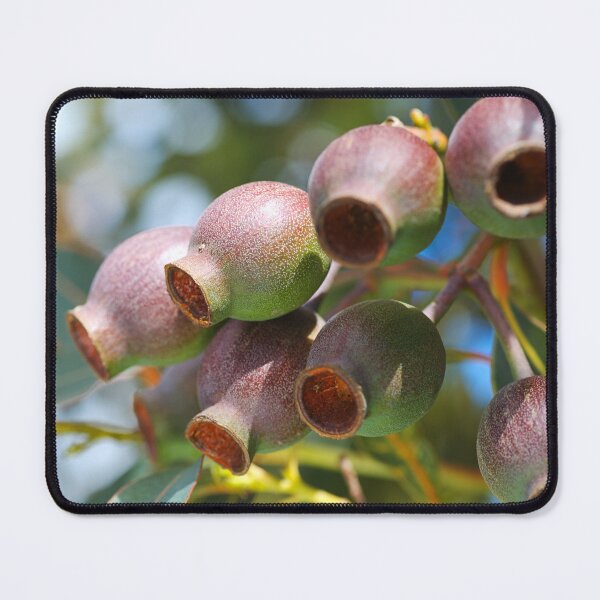Item preview, A Gumnut Branch designed and sold by Joy Watson - Natural Light Photography .