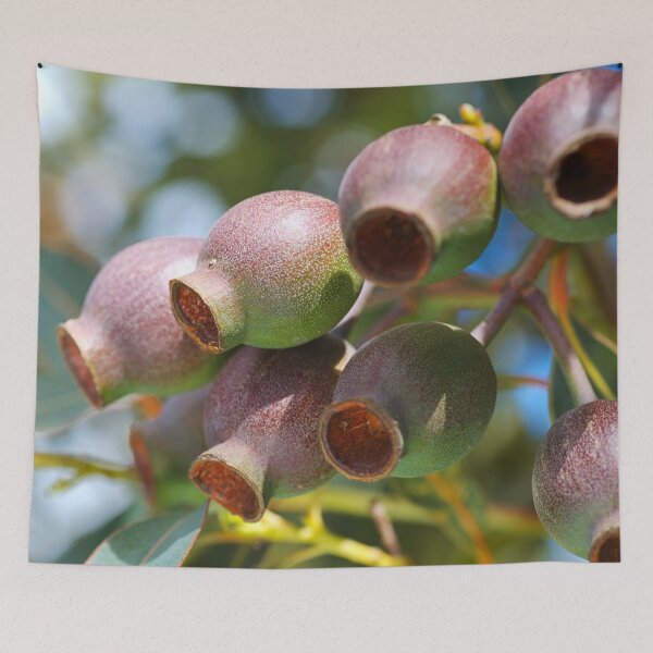 Item preview, A Gumnut Branch designed and sold by Joy Watson - Natural Light Photography .
