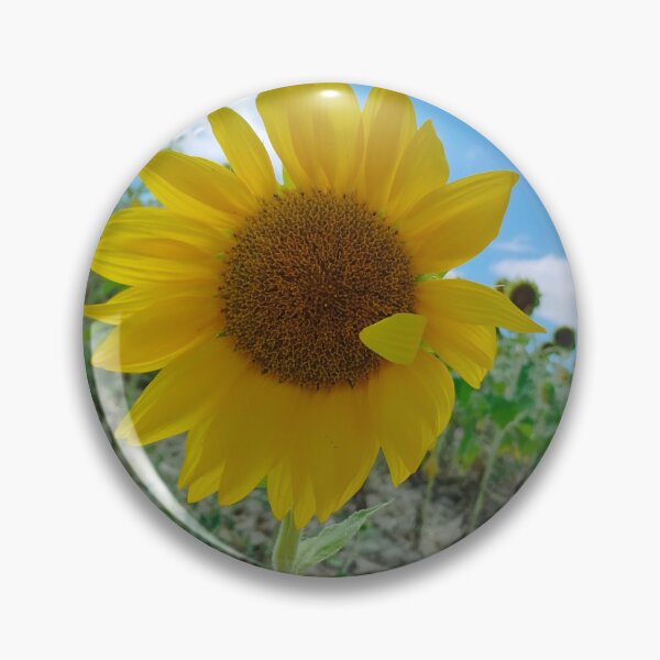 Item preview, Sunflower designed and sold by 8million.