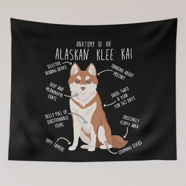 Item preview, Alaskan Klee Kai Red Dog Anatomy designed and sold by Clara Hollins.