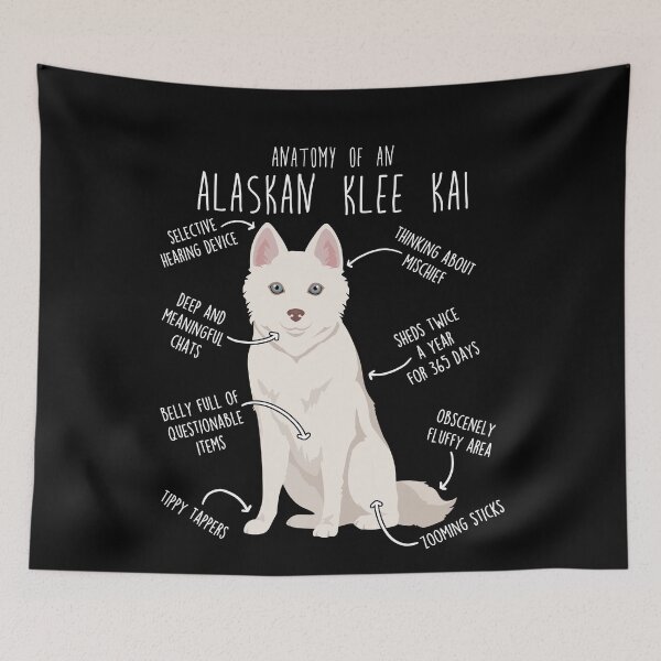 Item preview, Anatomía del perro blanco Alaskan Klee Kai designed and sold by Clara Hollins.