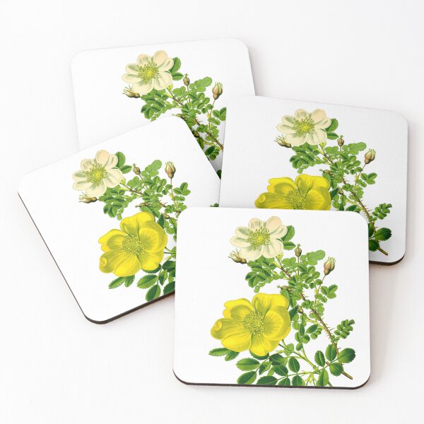 Artikelvorschau, Vintage Botanischer Blumen Druck - Floral Wanddeko für Wohnzimmer, Küche & Schlafzimmer | Handgemachte Kunstdrucke entworfen und verkauft von yourgarden.