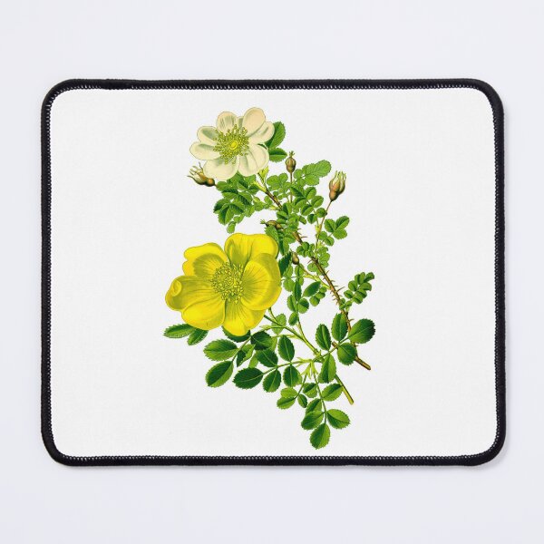 Item preview, Vintage Botanical Flower Print - Floral Art for Living Room, Kitchen, & Bedroom | Handmade Art Prints designed and sold by yourgarden.