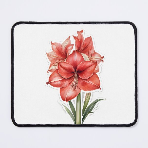 Item preview, Amaryllis designed and sold by HOMETOWN86.