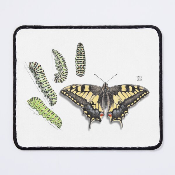 Item preview, Butterfly and caterpillars designed and sold by JavierLazaro.