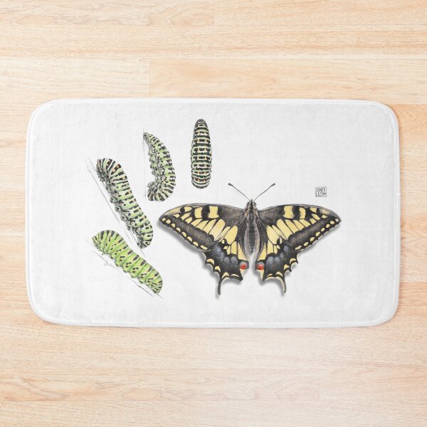 Item preview, Butterfly and caterpillars designed and sold by JavierLazaro.
