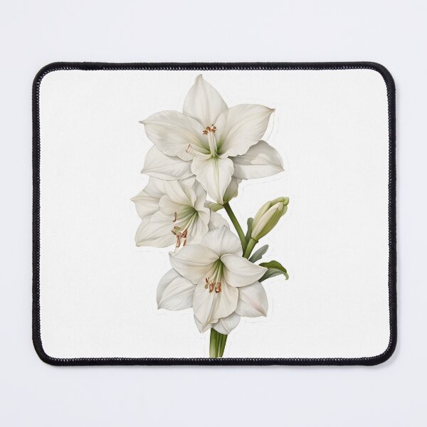 Item preview, White Amaryllis designed and sold by HOMETOWN86.