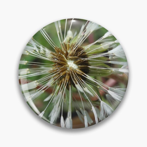 Item preview, dandelion designed and sold by OperaCarmen.