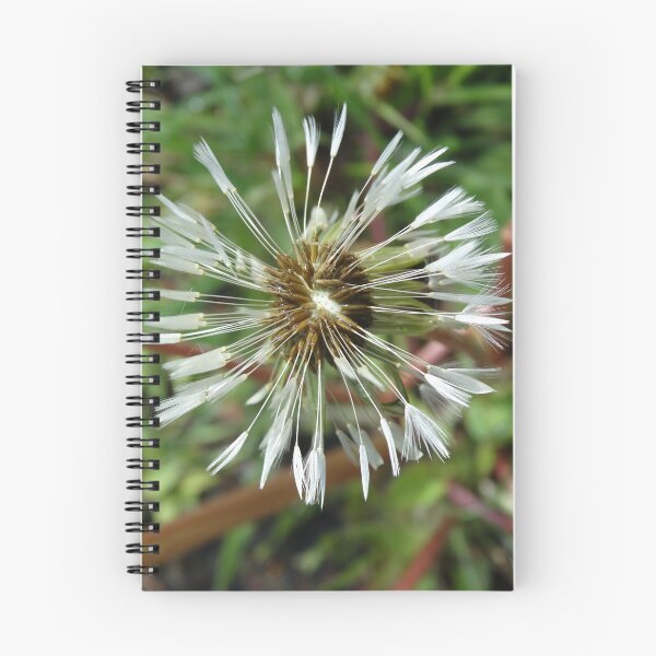 Item preview, dandelion designed and sold by OperaCarmen.