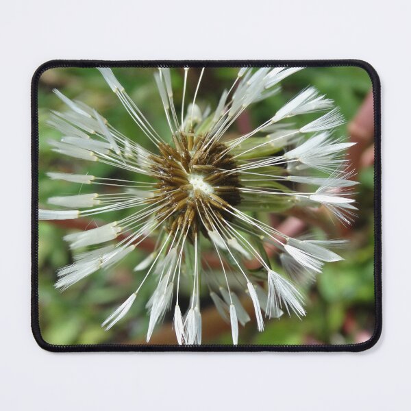 Item preview, dandelion designed and sold by OperaCarmen.