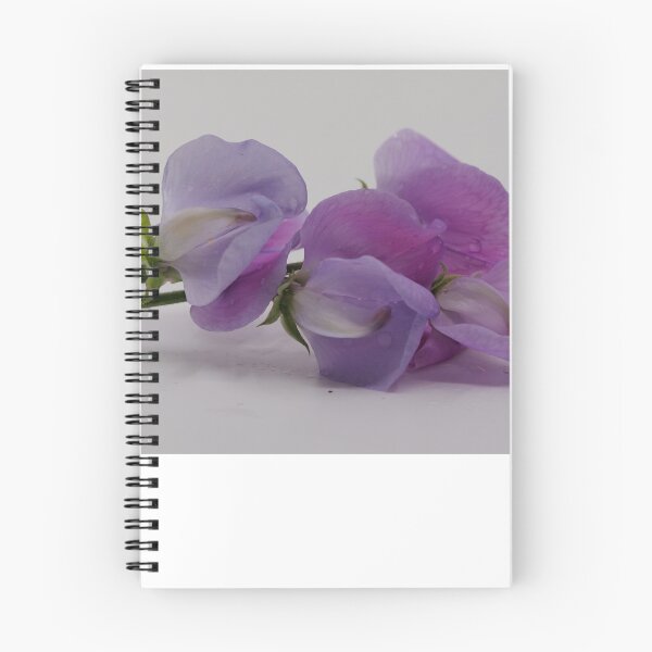 Item preview, Still Life with lila Fresia's  designed and sold by Hanneke Jonkman.