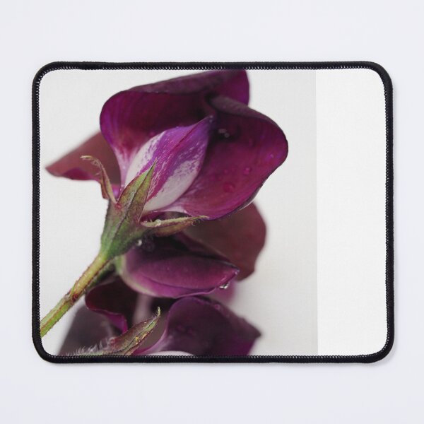 Item preview, Still Life with aubergine Fresia's  designed and sold by Hanneke Jonkman.