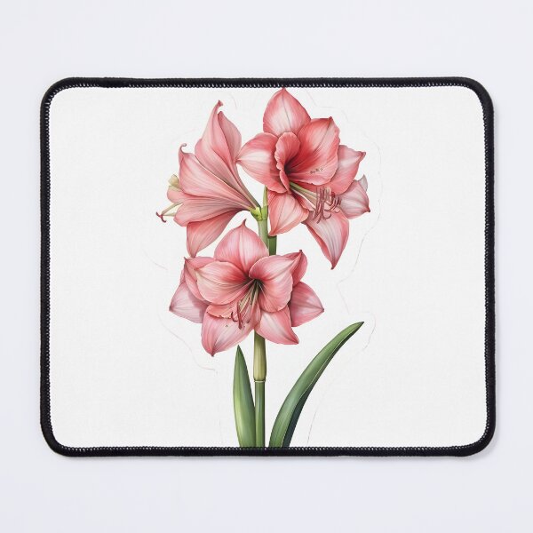 Item preview, Pink Amaryllis designed and sold by HOMETOWN86.