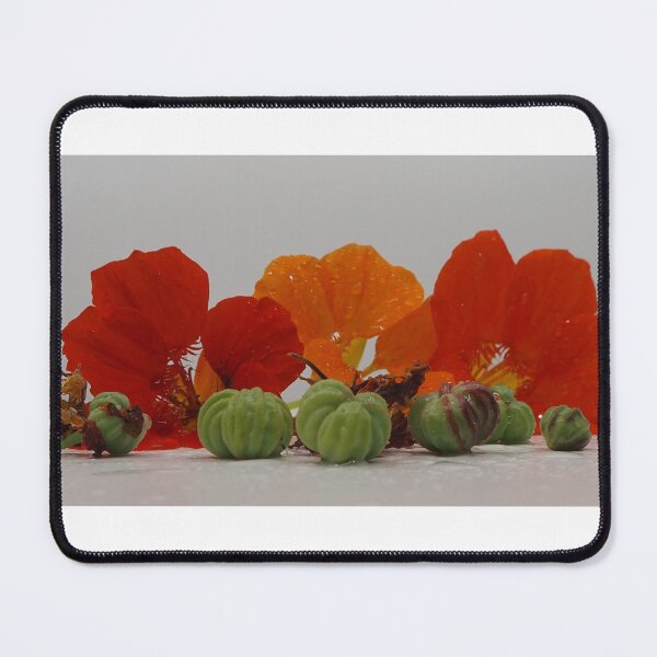 Item preview, Still life with Nasturtium  designed and sold by Hanneke Jonkman.