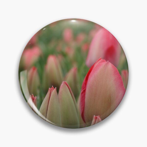 Item preview, Duth Tulips designed and sold by OperaCarmen.
