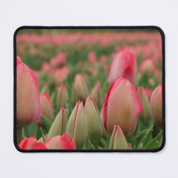 Item preview, Duth Tulips designed and sold by OperaCarmen.