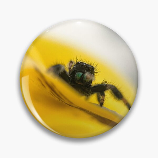 Item preview, Phidippus regius on yellow flower designed and sold by Kolmas-Paiva.