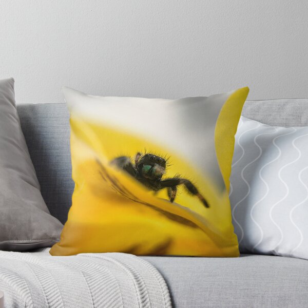 Item preview, Phidippus regius on yellow flower designed and sold by Kolmas-Paiva.