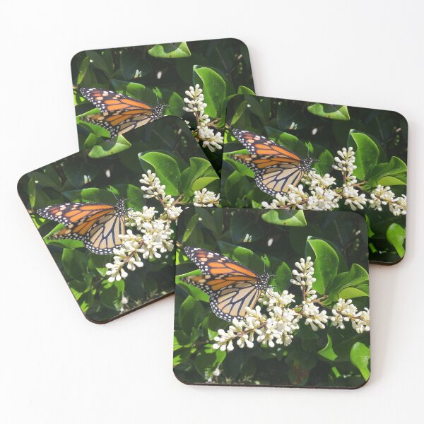 Item preview, Monarca en el seto designed and sold by aflutter.