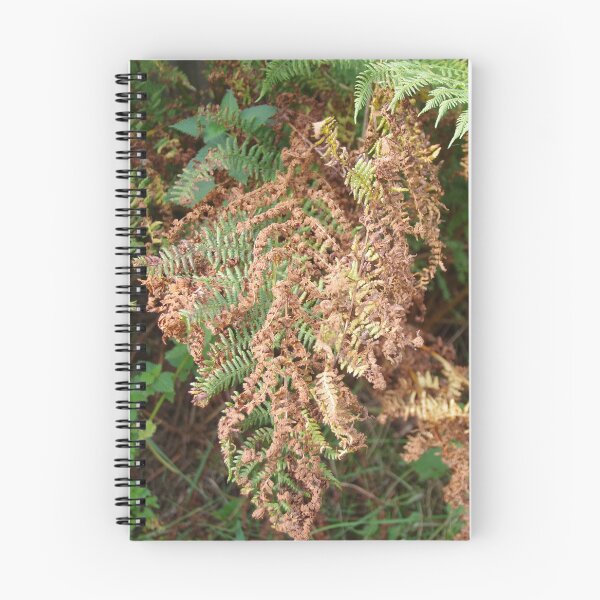Item preview, Bracken In Devon, England. designed and sold by lezvee.