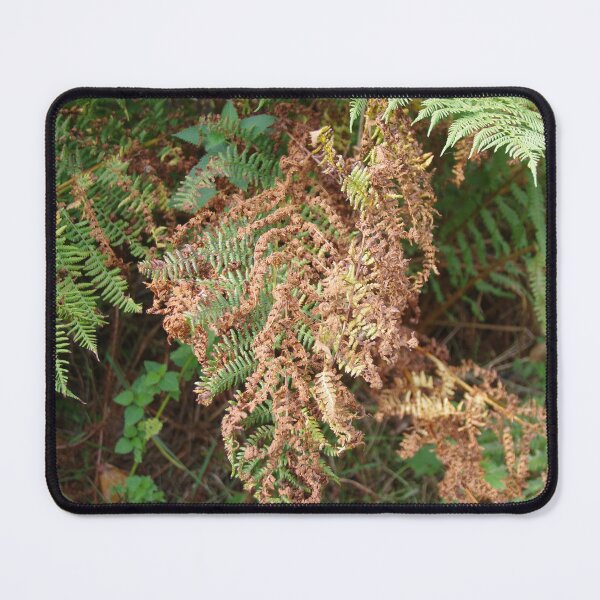 Item preview, Bracken In Devon, England. designed and sold by lezvee.