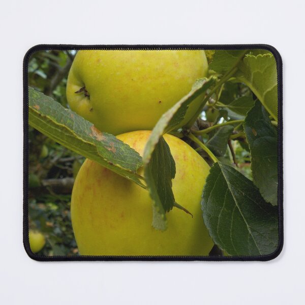 Item preview, Apples On The Tree designed and sold by lezvee.