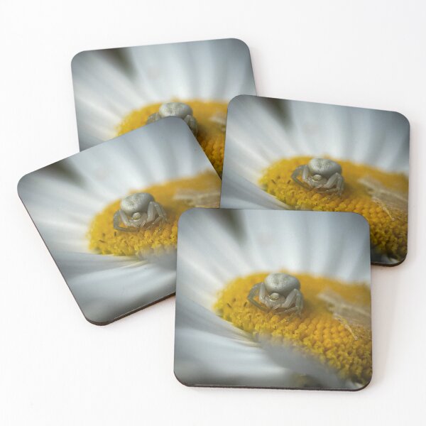 Item preview, The Crab Spider on a Daisy designed and sold by Kolmas-Paiva.