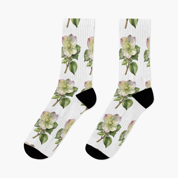 Item preview, Hellebore (Christmas Rose) designed and sold by HOMETOWN86.