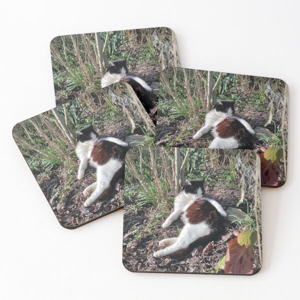 Item preview, Tomcat Robbi designed and sold by Gourmetkater.