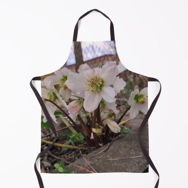 Item preview, Lenten rose designed and sold by Gourmetkater.