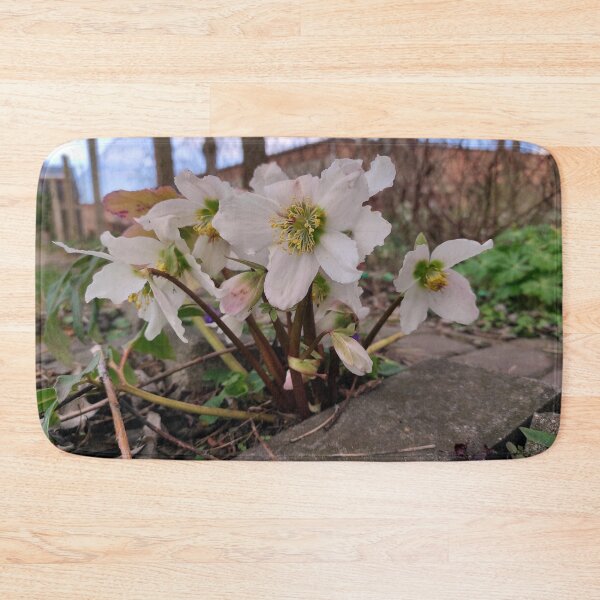 Item preview, Lenten rose designed and sold by Gourmetkater.