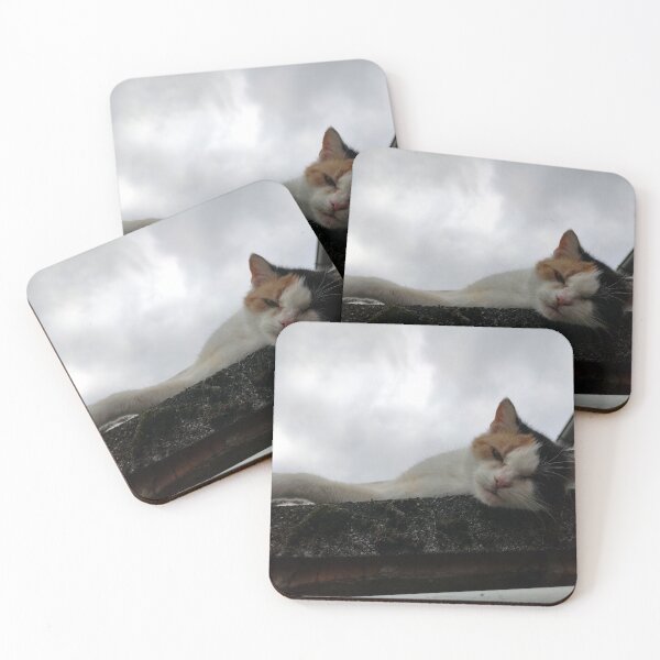 Item preview, Cool Cat on the Roof designed and sold by Gourmetkater.