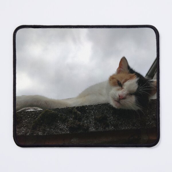 Item preview, Cool Cat on the Roof designed and sold by Gourmetkater.