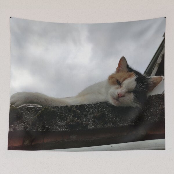 Item preview, Cool Cat on the Roof designed and sold by Gourmetkater.