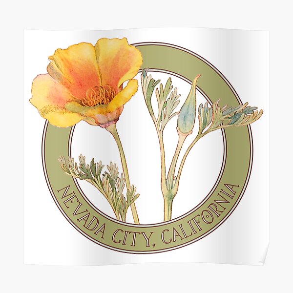 Nevada City Poppy Poster
