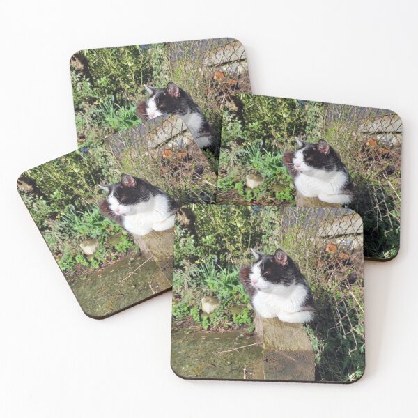 Item preview, cat on beam designed and sold by Gourmetkater.